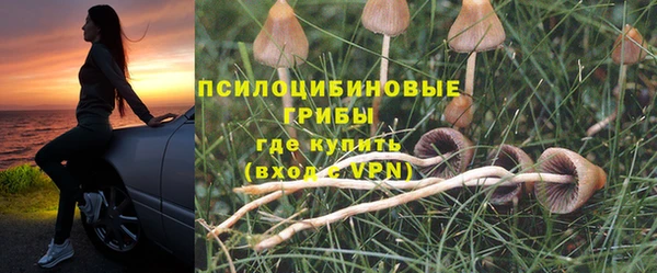 соль курить ск Ельня