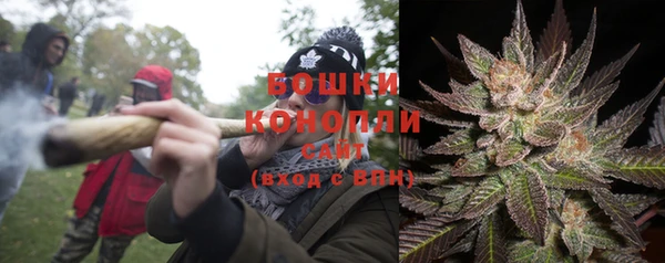 мет Елизово
