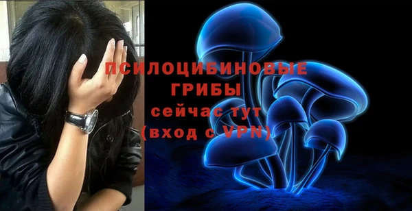 соль курить ск Ельня