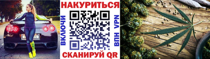 Конопля сатива  Купить где  Орск 